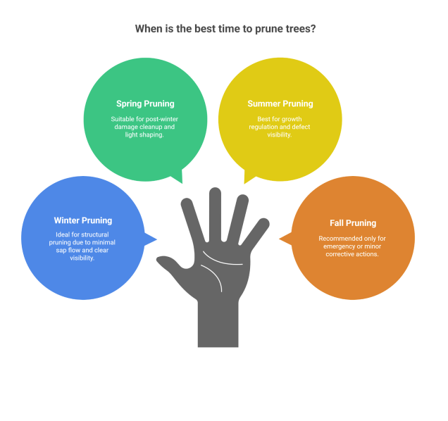 best time to prune trees