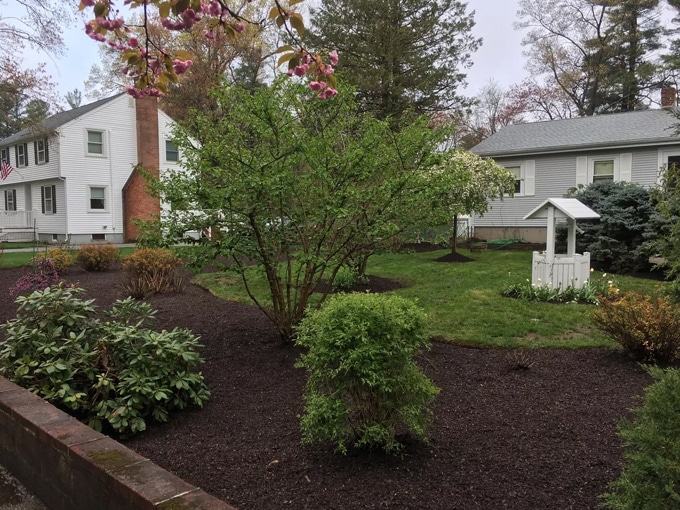 Residential garden with trees, shrubs, a white wishing well, and two houses in the background.