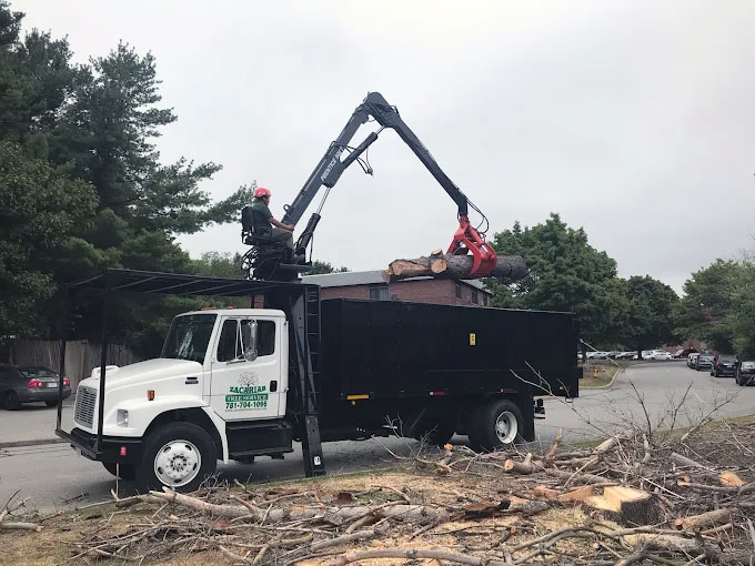 A worker operates a crane on a truck, loading tree logs beside a road lined with trees and parked cars.