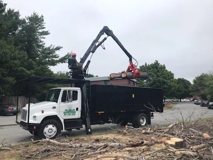 Tree removal truck with crane arm lifting large log while operator manages controls, surrounded by branches on the ground.