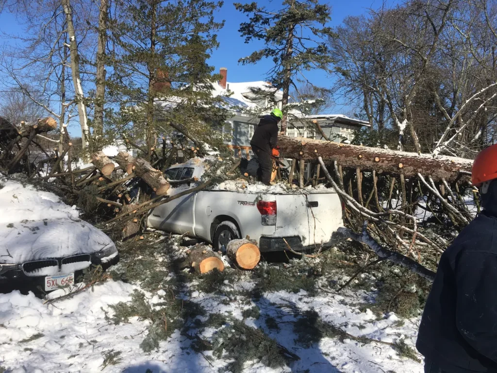 Worker cuts tree fallen on snow-covered cars and truck in winter scene.