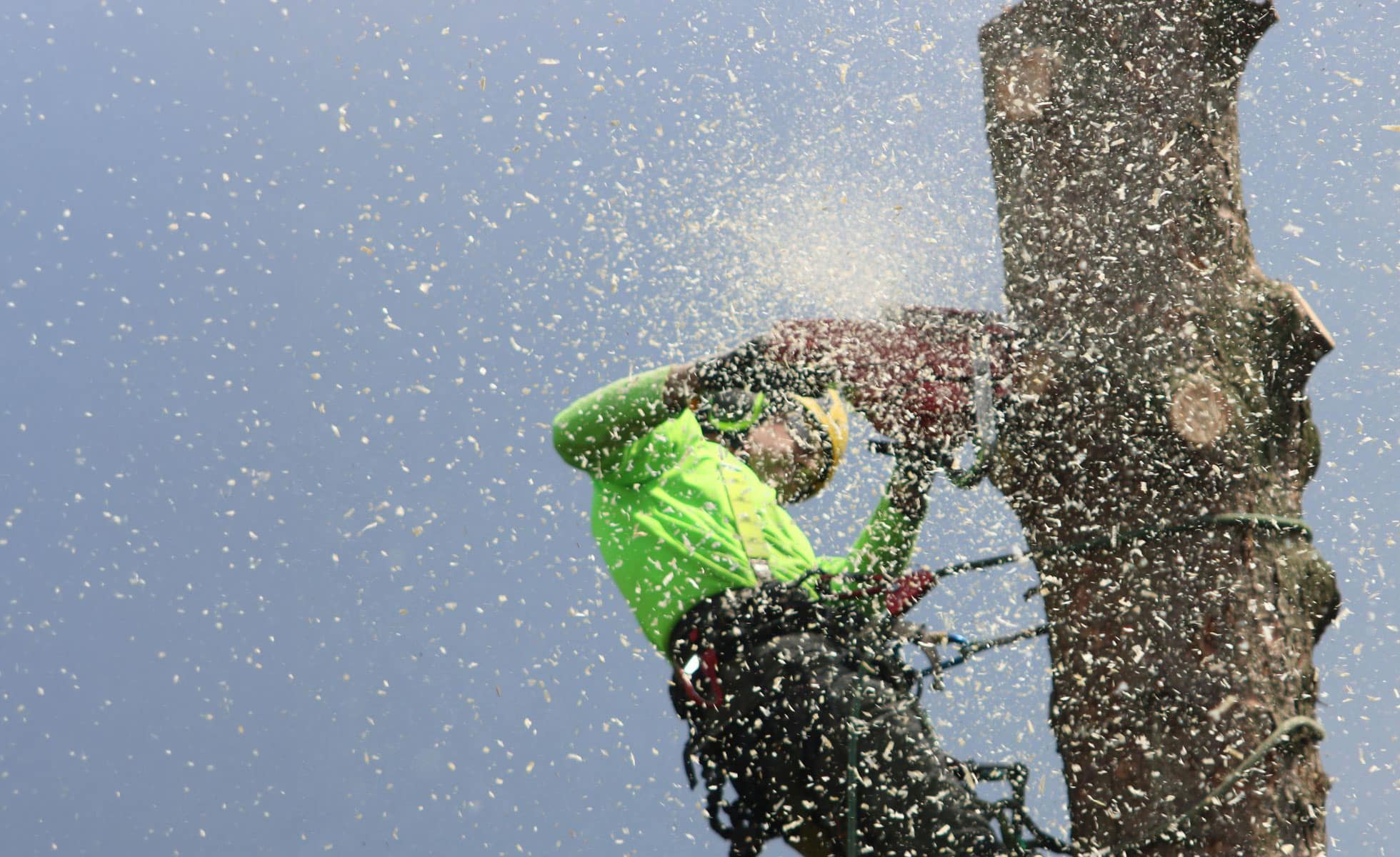 Slide Image for Tree Service in Lynn, MA | Landscaping & Hardscaping