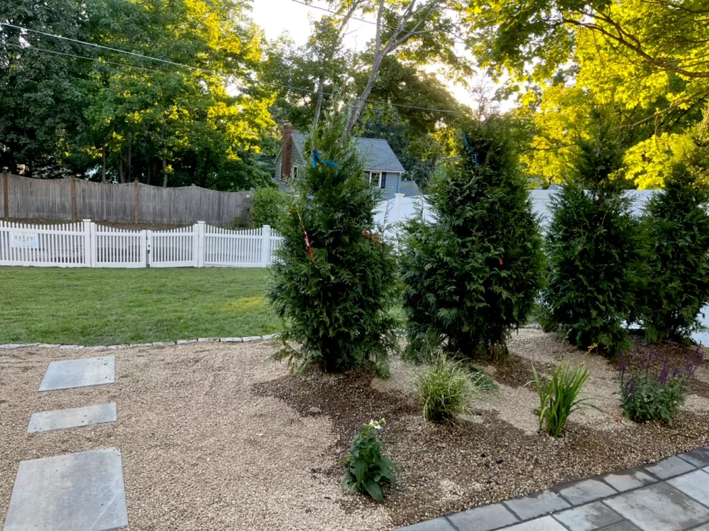 Backyard garden with pine trees, gravel path, and a white picket fence in the background.