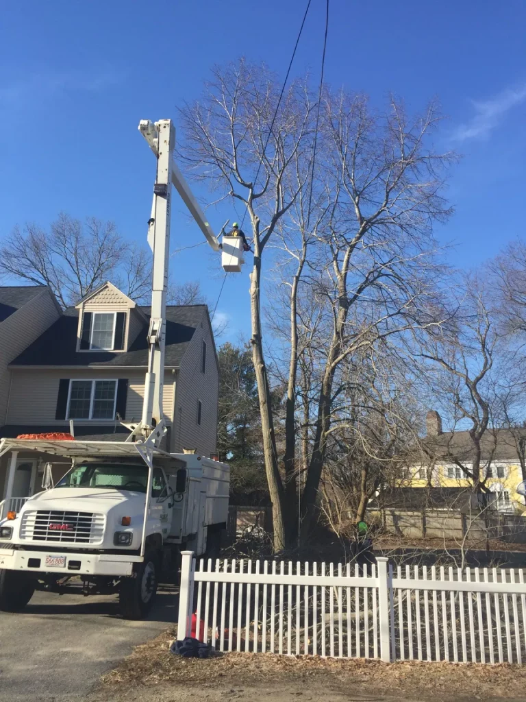 Tree trimming with a bucket truck near a house, clear blue sky in the background.