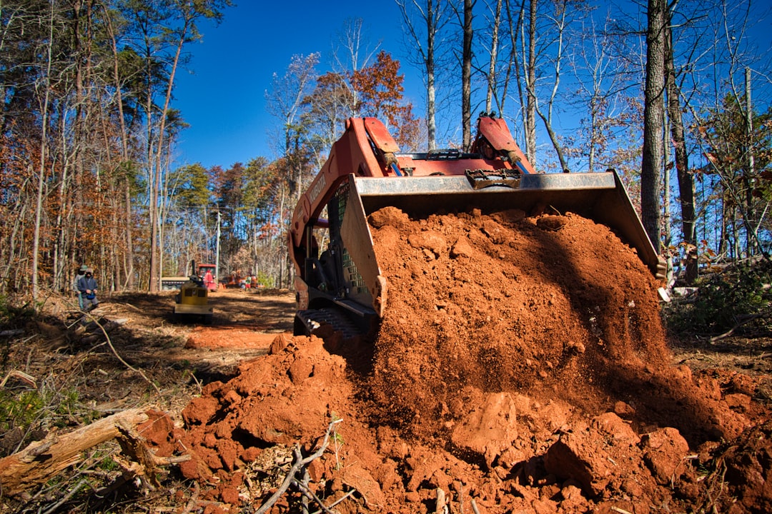 brush clearing service