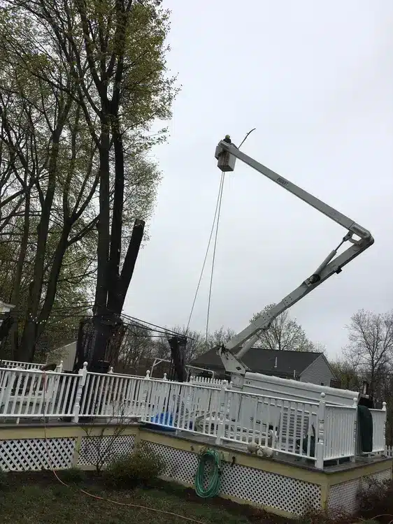 Lifting Heavy Sections Out Cleanly